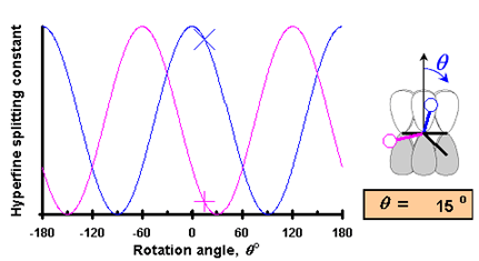 The McConnell's dependences of the isotropic hyperfine splitting constant for two methylene protons as functions of the rotation angle of the phenoxyl ring in a tyrosyl radical.